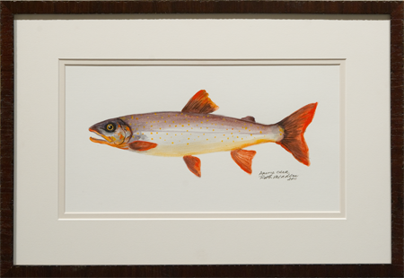 Artic char by artist Ruth Meaders